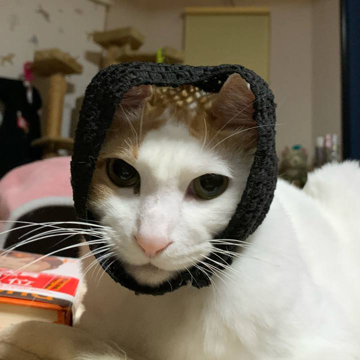 0ef9d8b8 583e 45de b8a6 b2aa48db5cf9 1607356067036