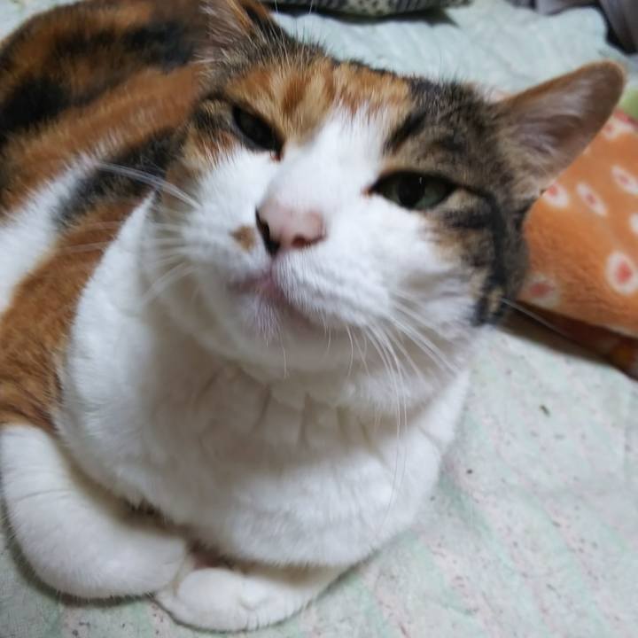 0efa29f2 252b 43d6 a8a8 37cdb55930d2 1563831908506