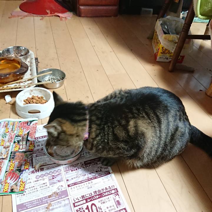 0efa6716 0ea9 40e4 b28a 54135bd96257 1648506504027