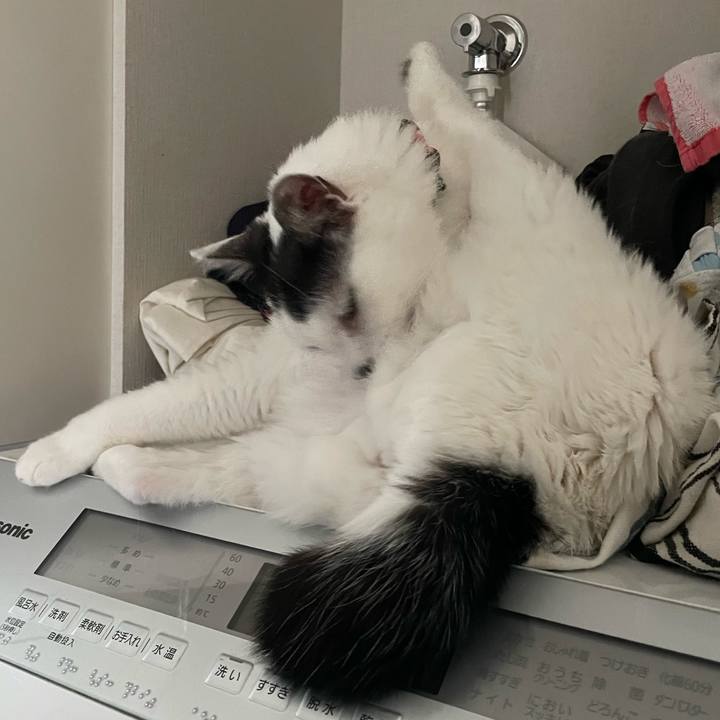 0efaa4bd 5a2d 4cc2 ada3 fe18d885bab8 1688426928455