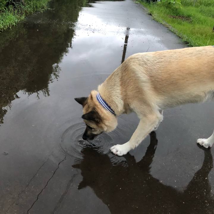 0efad89d 71d9 4831 84ce 1264dec955b3 1629117303503