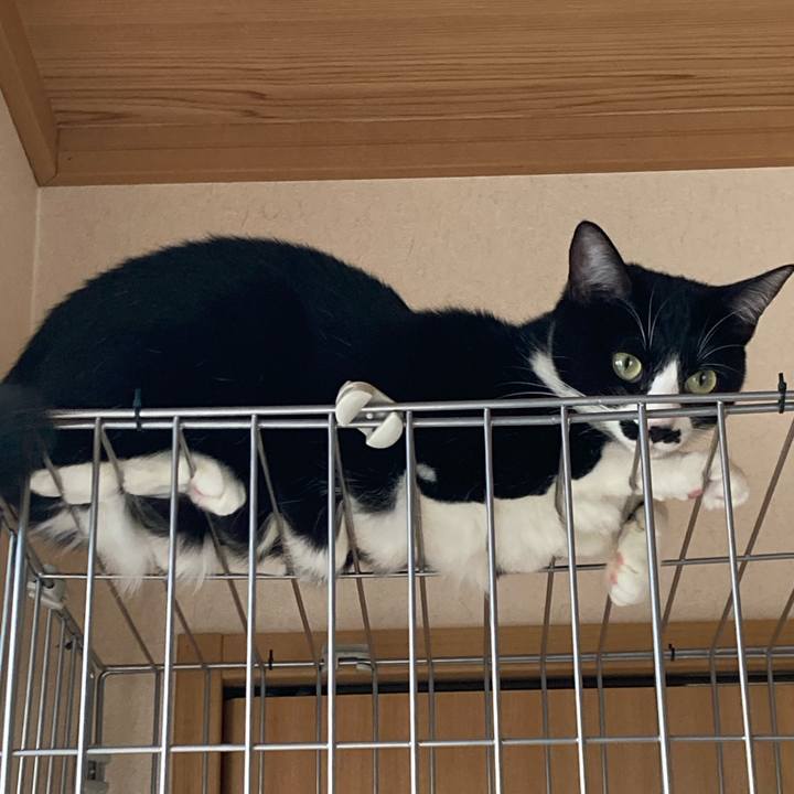 0efb1889 955f 493c a7c4 47086d0a00b4 1700097558234