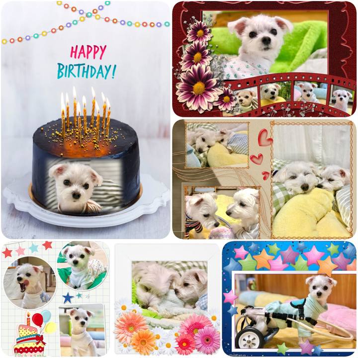 0efb2d18 72dd 4b89 ad0e 0149bd151417 1623359775633