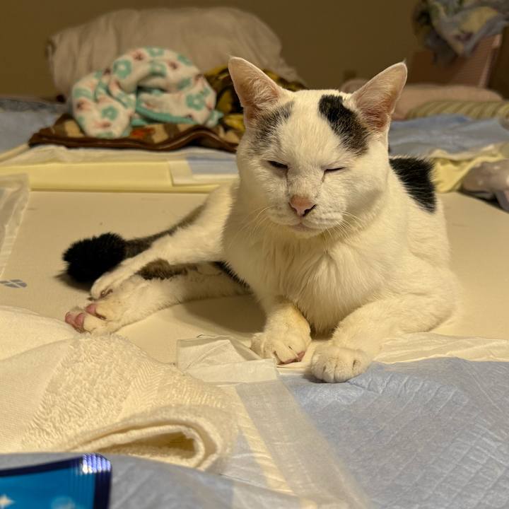 0efb348f 00d8 4c7a 9e13 29053f87a795 1761050462747