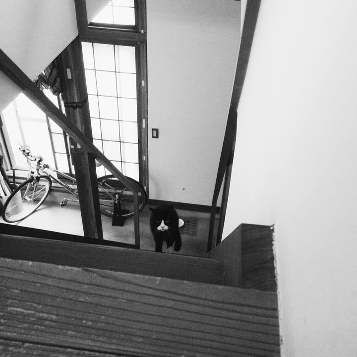 0efb5312 19e2 49ef 9cd0 fd65ff50a139 1559347756266