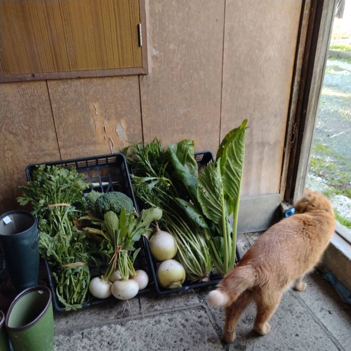 0efb6825 b457 4592 ab9d 9dbcd6189bab 1702541556383