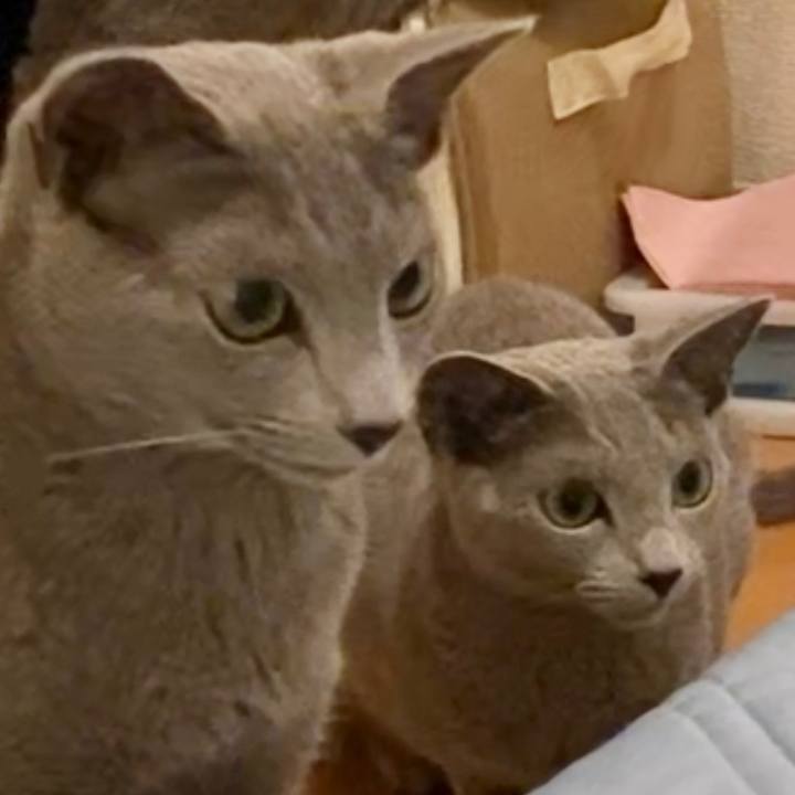 0efb68c4 4d63 4bb8 b15f 20051f9abad4 1626395000025