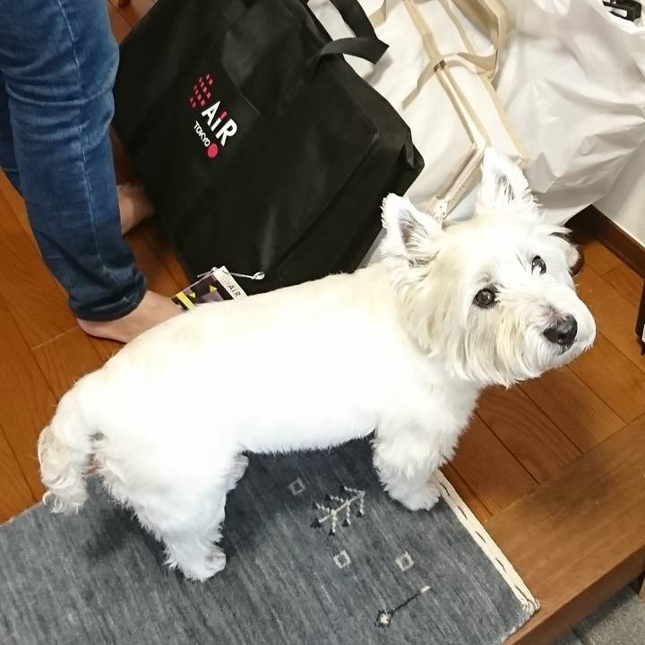 0efb90b7 c5ef 407f a685 fa1c1ef220e5 1526013969460