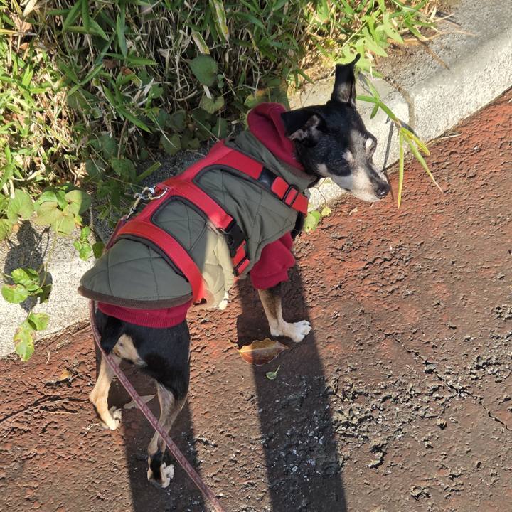 0efb93d1 805d 490c bb69 59523ef1e32a 1762470861132