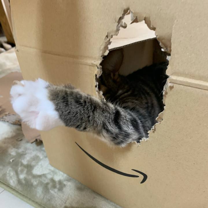 0efbb5c8 3271 4dac ae7b 1a7d95bd147c 1610459087737