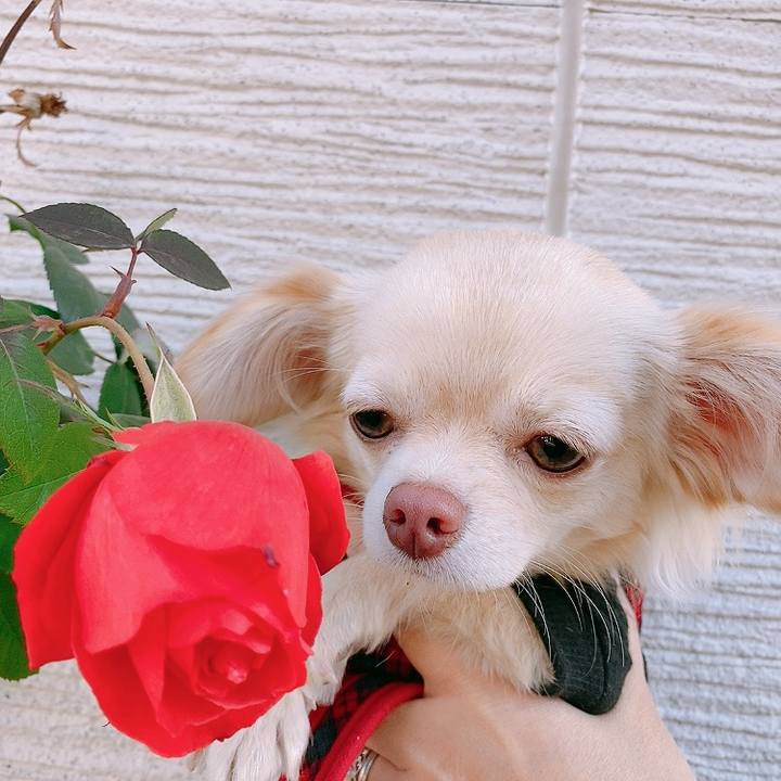 0efbd9ac 3698 432e bc9f 4b82e9889981 1611204541876