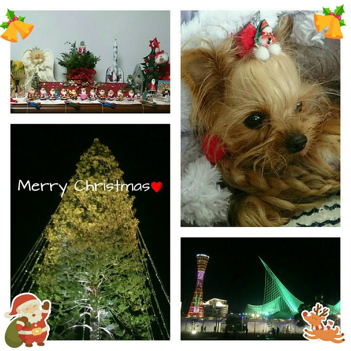 0efbff62 8b26 47d3 bebb 1339f8dfbf78 1514091531142