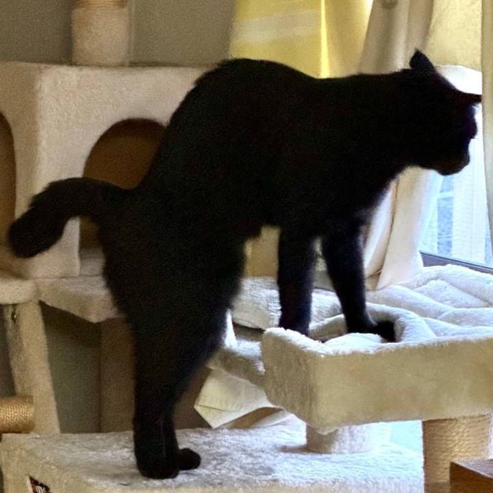 0efc0baf 218b 4627 bb8b 8cf5a648f085 1761541224154