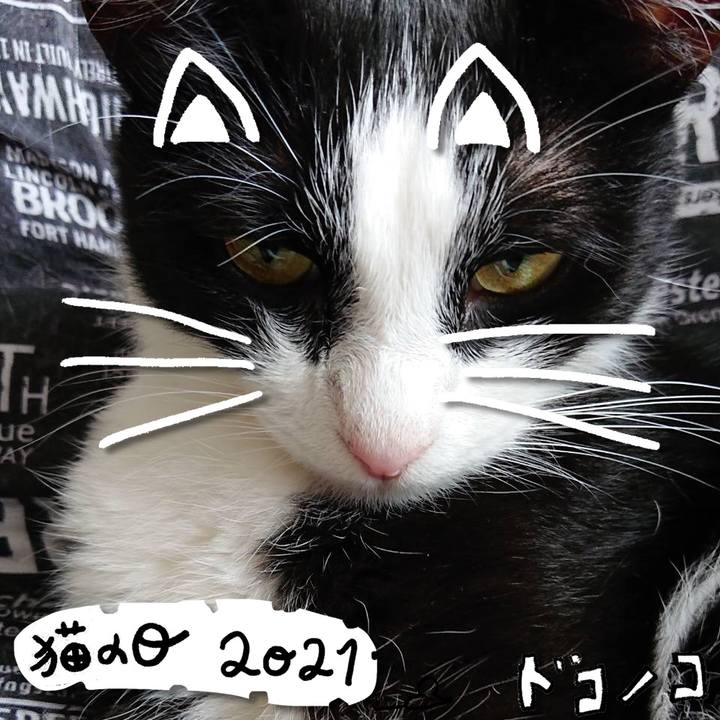 0efc1ab7 eaf9 4423 b59e c773289a5597 1614002302518