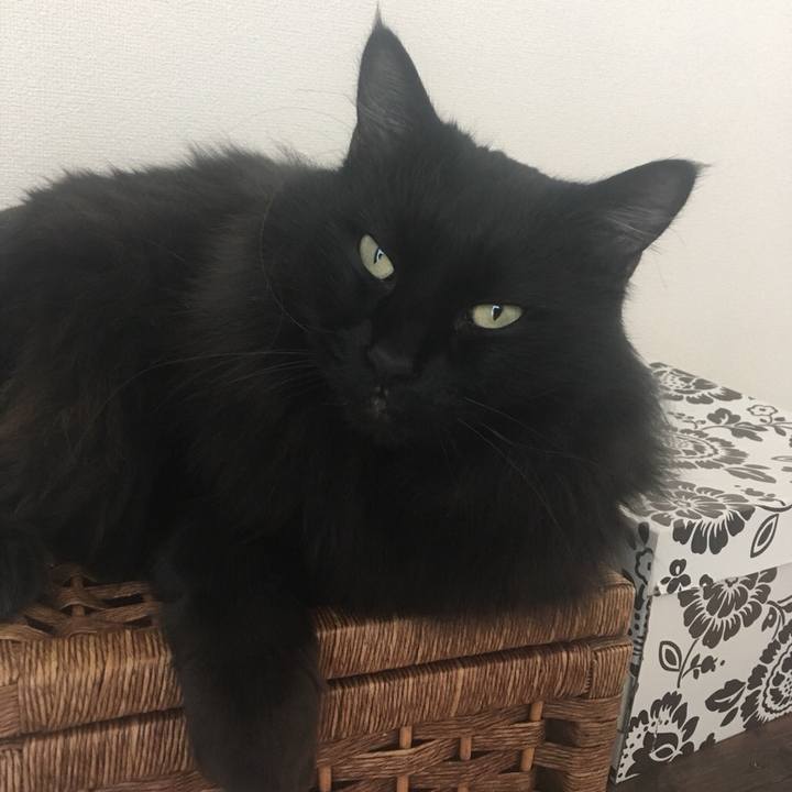 0efc4320 fef4 4fba 9c76 90bf0f7dcb33 1544405330186