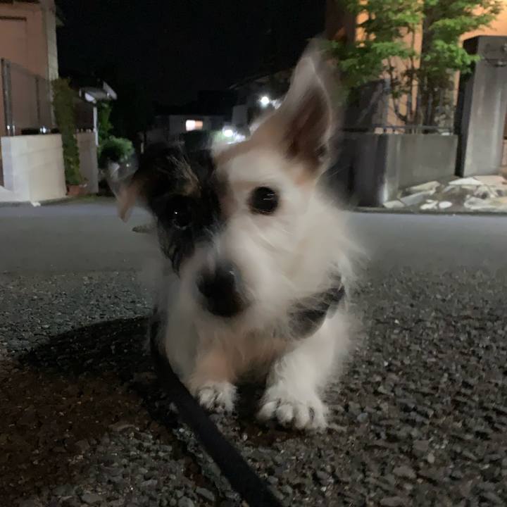 0efc6690 b979 4b66 a97e e4b7165dc4d2 1753881687866