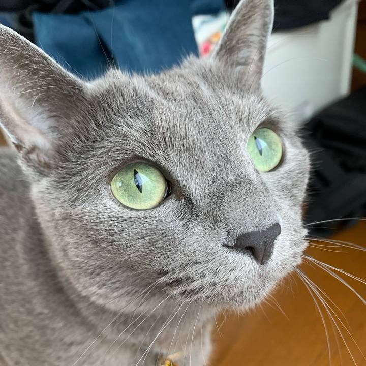 0efc73c6 cde3 45c5 a40e 51726390e998 1652402335754