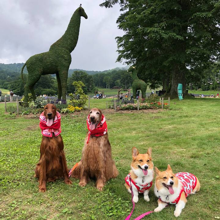 0efc8146 b903 4a8a b55e 3e74723f2157 1563359338215