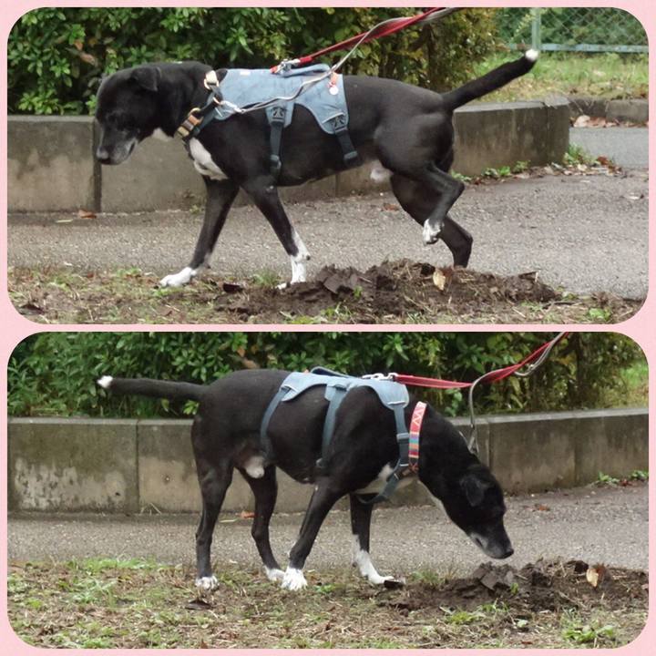 0efc83c3 f53b 4d75 a672 d15d019a7ccd 1730506377064