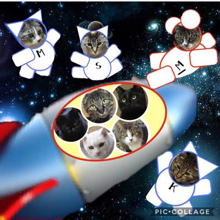 0efcad65 6798 4d3d a059 88b30ca9cc90 1566742993291