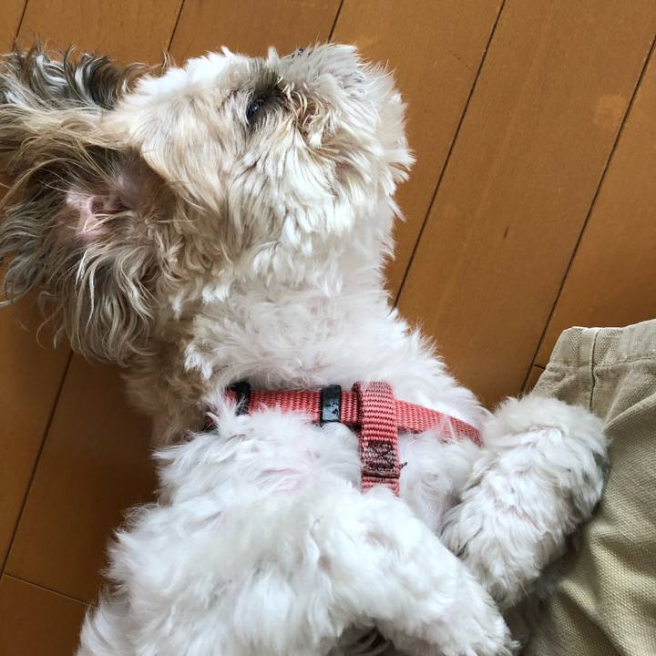 0efcd7fe 8f78 41e2 ba82 ae741ec222de 1535341296438