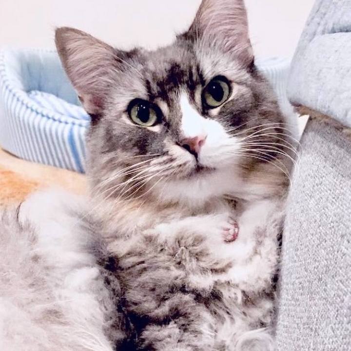 0efd736d a165 423f 97a8 44262a3f3897 1748792936874