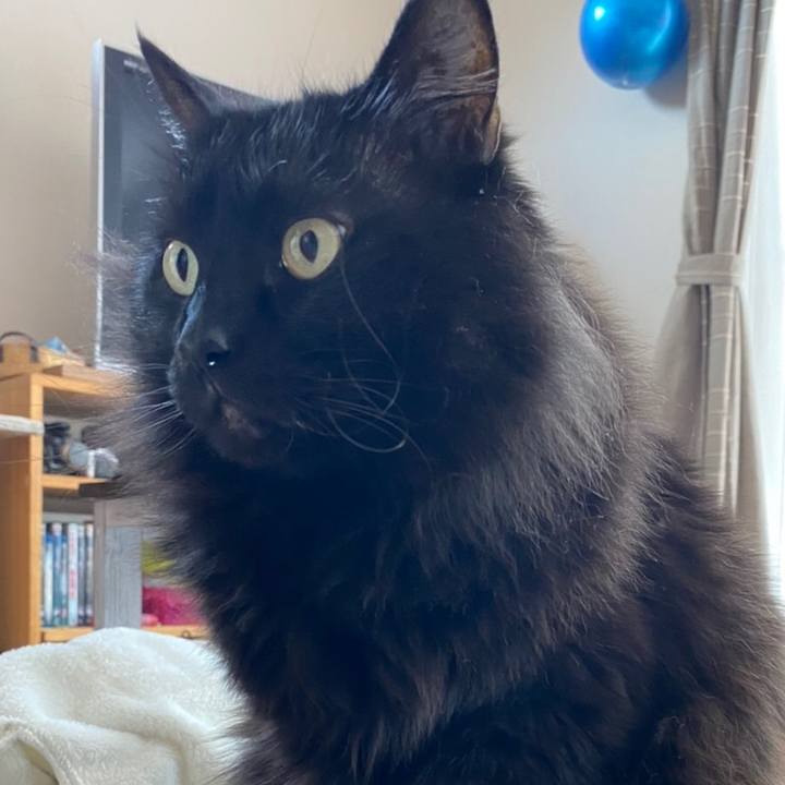 0efd7a44 6741 4245 bd5c b40852fd7910 1580105811791