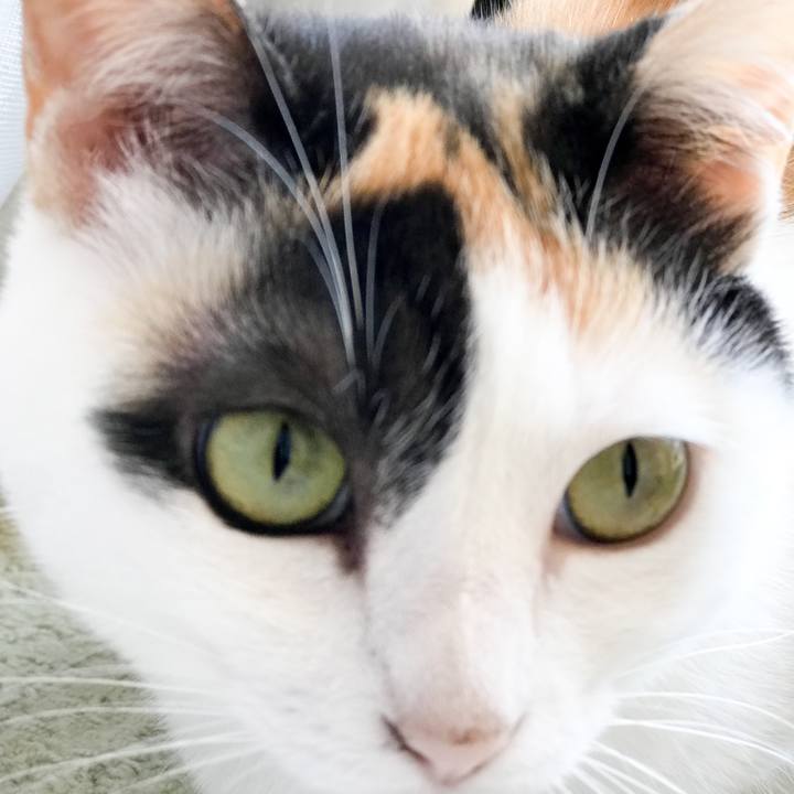 0efde467 6527 4f0e bc0b c6f185942204 1530367405177