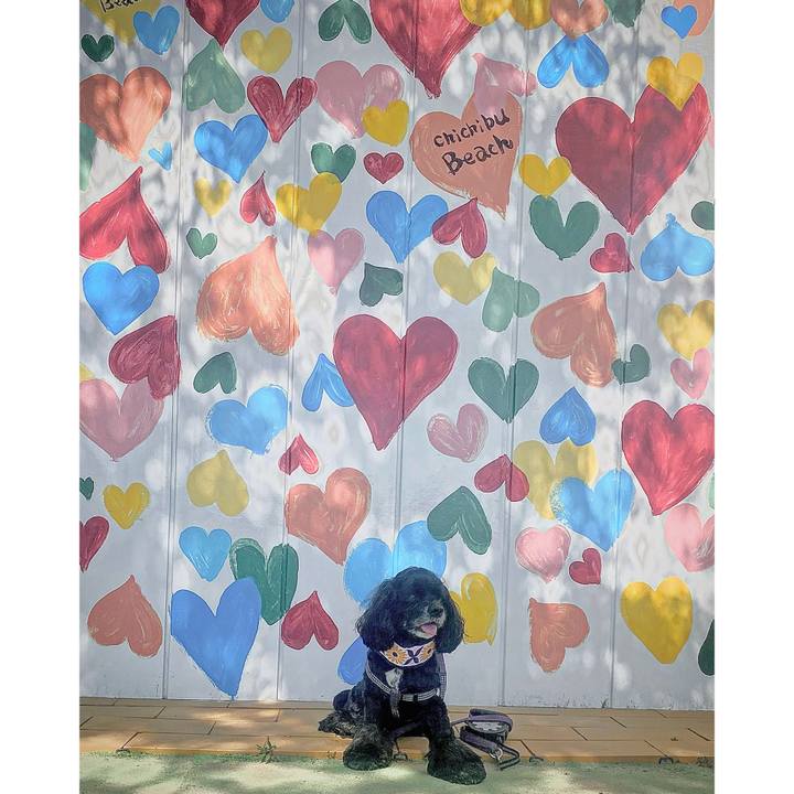 0efdf32d 5819 4a5b a621 dea8df3b742f 1685882237205