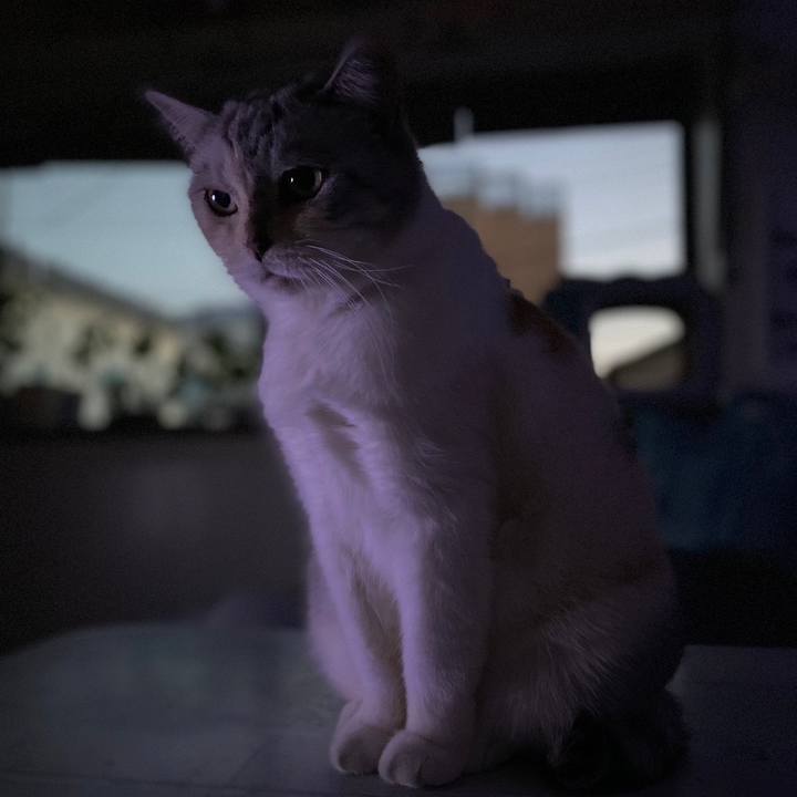 0efe1b04 5939 470b bdf9 6dda6309147f 1696581691880