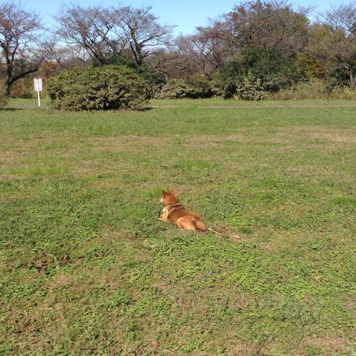 0efeabc1 f7f7 4def a703 7dc4c6368b31 1510815648517