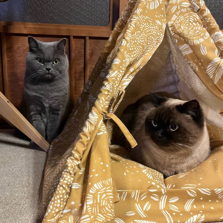 0efeb4a4 da7f 480e 82c6 072ce1fbe1cf 1671712010123