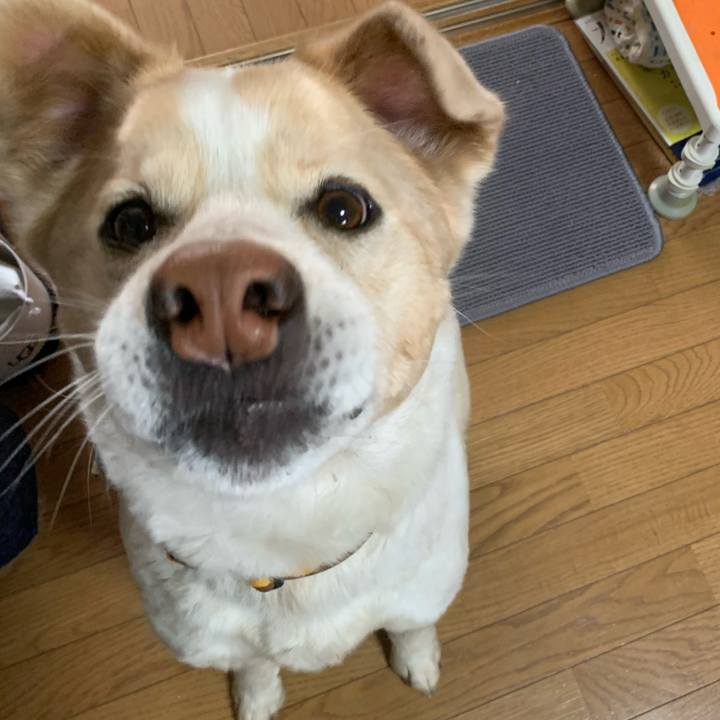 0efeb970 5295 4190 9c36 24eba48f6c8f 1582238642160