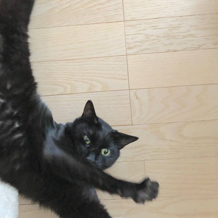 0efecba0 2010 40c0 8f1a 8710709a8313 1515672764449