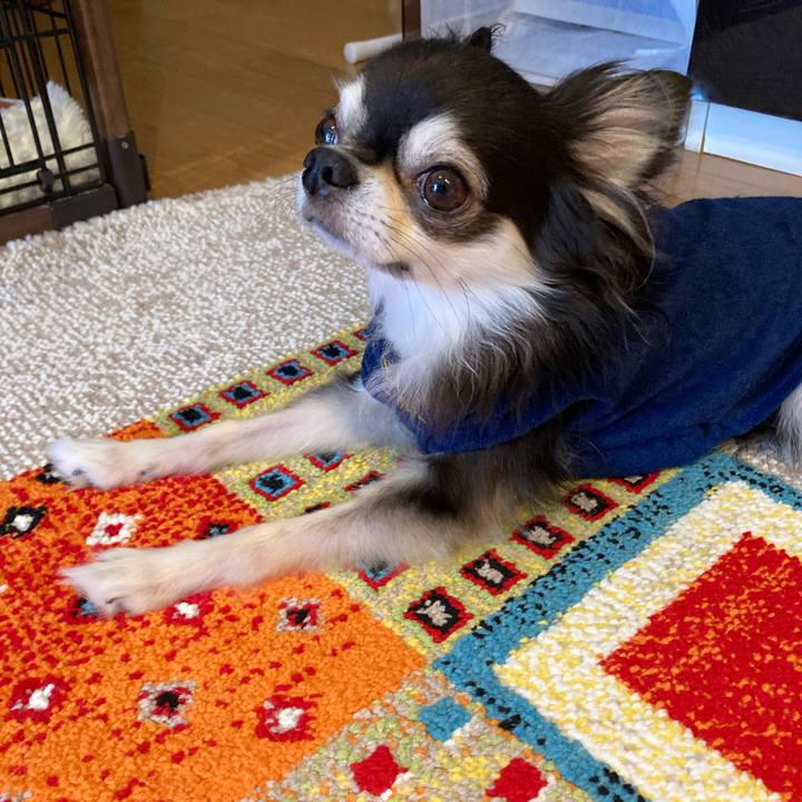 0eff12b7 b3ae 44c2 b16d a501e1c78d22 1714234839320