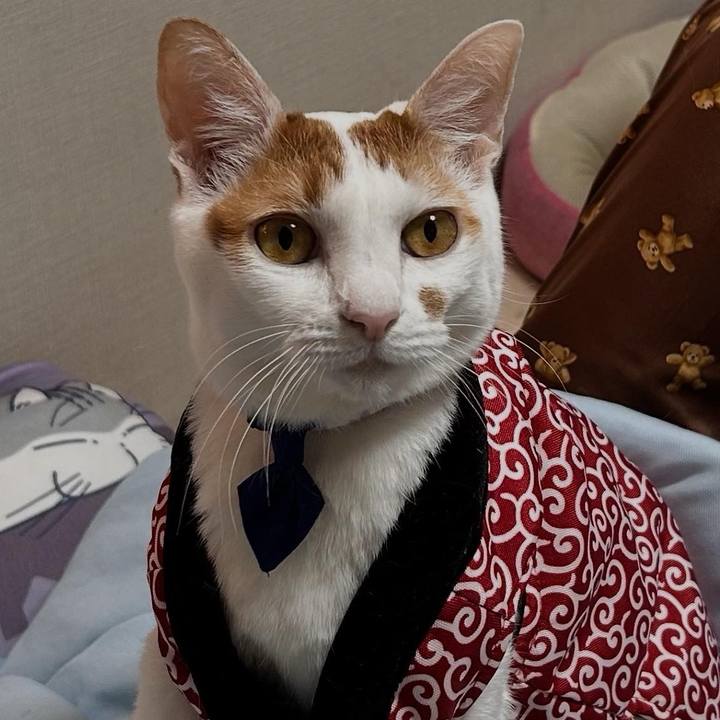 0eff40ce 98c5 4a28 b426 3361a9185080 1760006122401