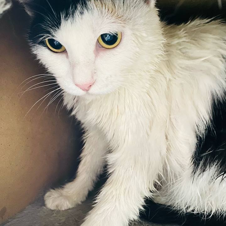 0eff5771 c91f 4beb b461 14b5500ee98e 1687686889245