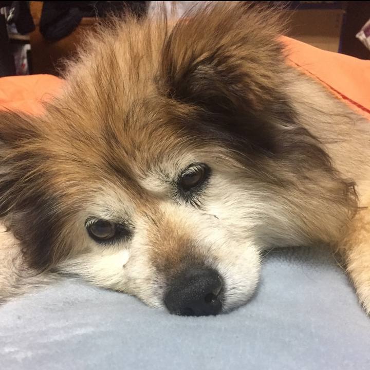 0eff7871 16a2 4258 8239 6c136a3335b4 1648807536793