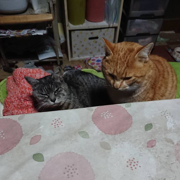 0eff89ef 3bca 4ac6 bf1a b6fd17513179 1580334449532