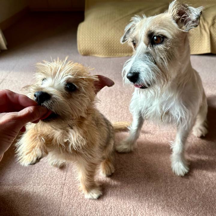 0effb90b 9255 495a aab1 b7d979a10080 1703429783454