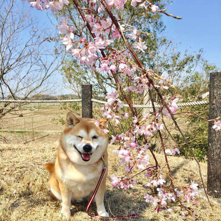 0effd8f4 aa18 417e 968f 8ea41eaa8963 1585307882885