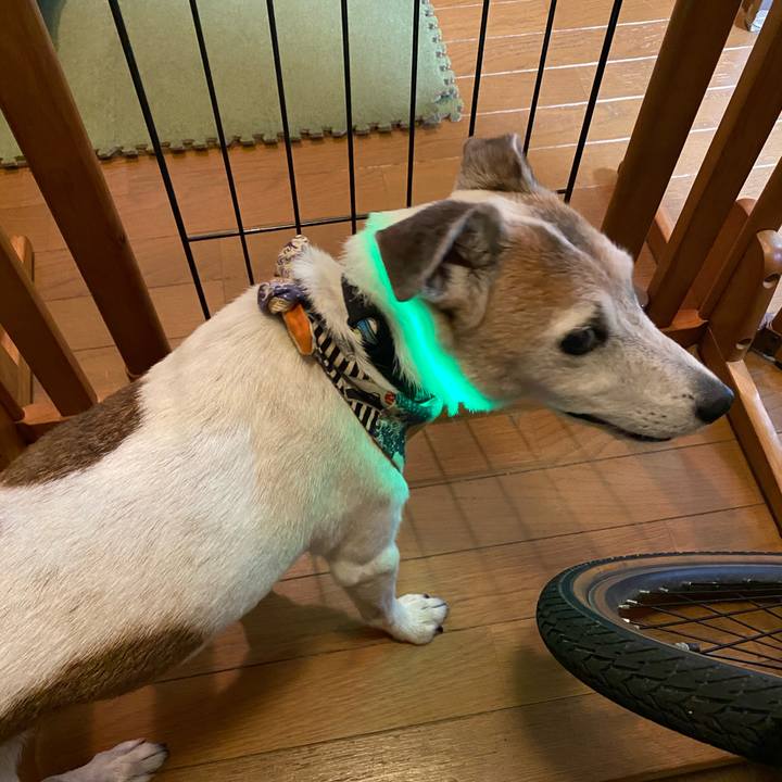 0efff2e8 6a1e 4b61 855a ab636ae624ae 1598095760388