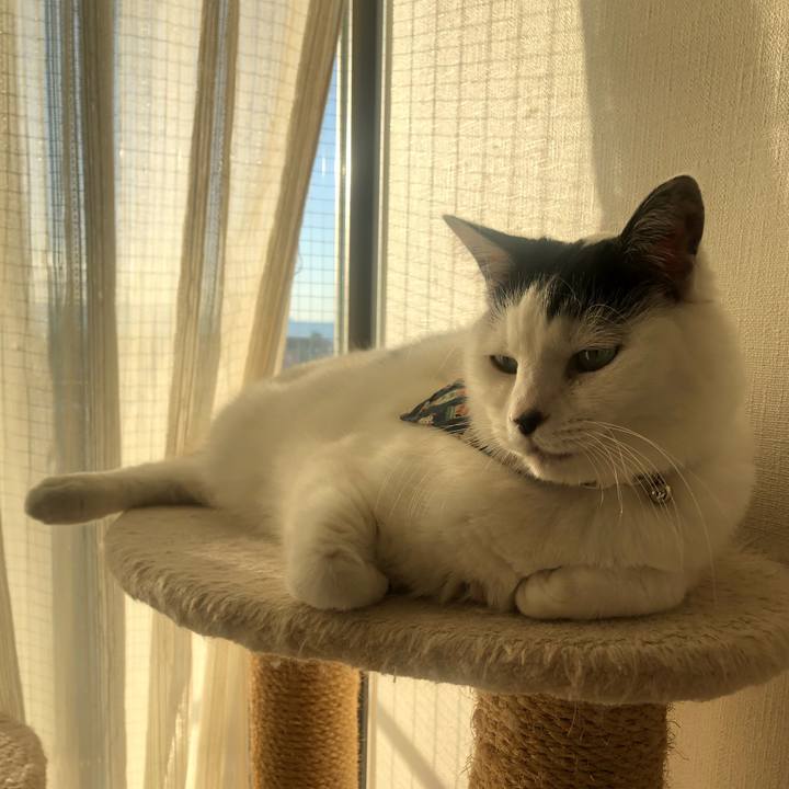 0f00056c daee 49f1 b496 3b7823379e0e 1580542176709