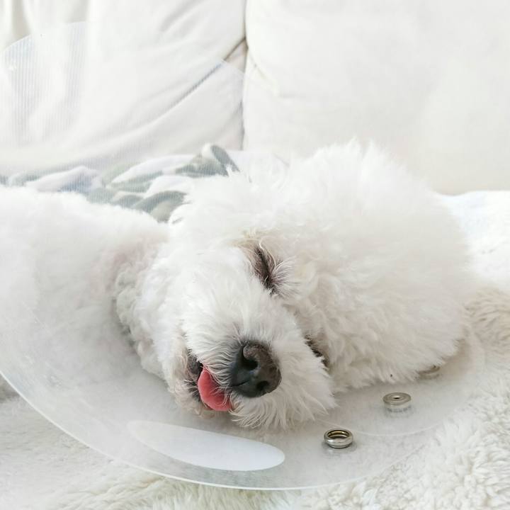 0f001df0 1c36 4b66 8895 269a51016249 1522970355609