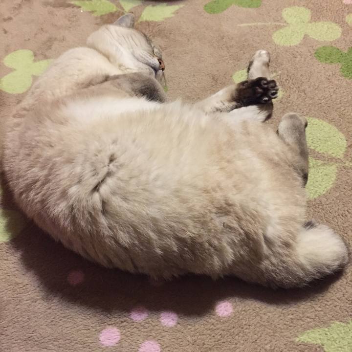 0f005d67 bd7b 4b89 a5be 989803bfddbc 1546945378219