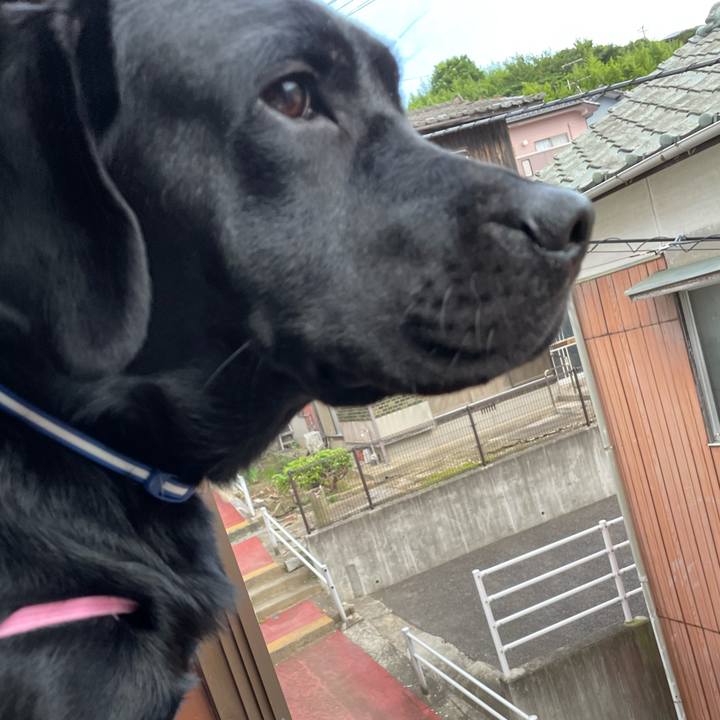 0f00b576 84c2 4f0b 9cc9 dd7ec2c9f3b1 1630919684685