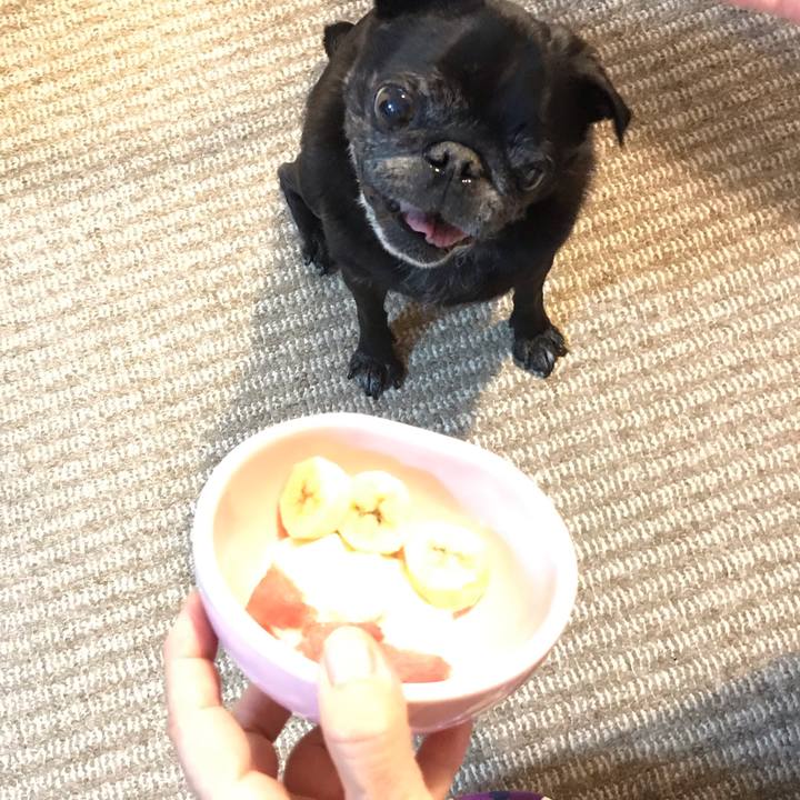 0f00c9ae e1ef 4b89 8fd7 69ae68b7a747 1568275921487