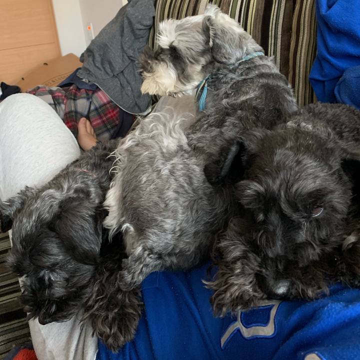 0f00de3d 1dd5 49fc a739 63b0cb4506ff 1587862361484