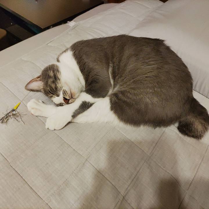 0f01038b c11f 423f b878 18315d5237cf 1663248247827