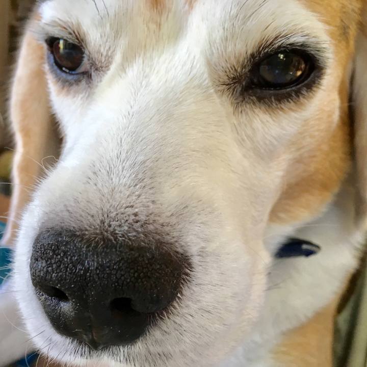 0f0171b5 e1ae 4b25 a5ff 15a00bca4fbd 1539058576988